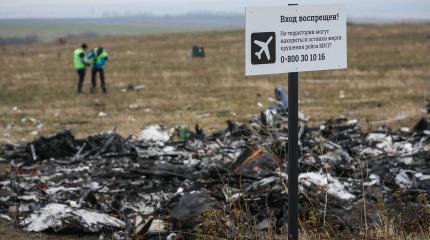 Обвинение по делу MH17 против вызова свидетелей по сценарию Украины