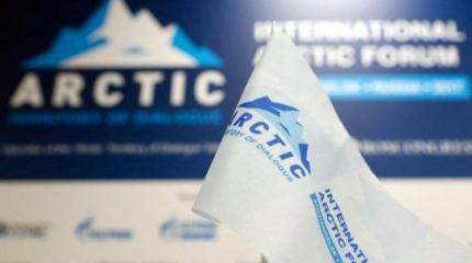 Украинский кризис: последствия для Арктики