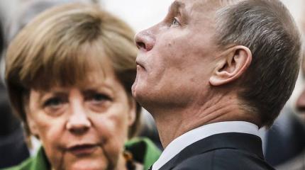 Мукачевский рефлекс и немецкие дрова Мукачевский рефлекс и немецкие дрова