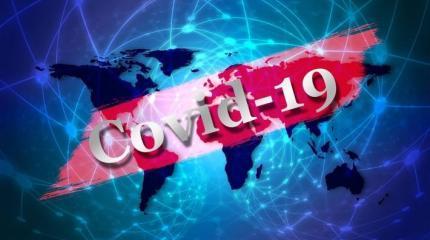 Разворот к национально-государственной самоидентификации прервала пандемия Разворот к национально-государственной самоидентификации прервала пандемия
