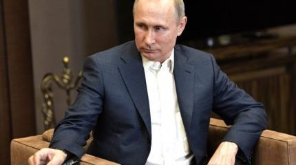 Проект «ЗЗ». Никого, кроме Путина Проект «ЗЗ». Никого, кроме Путина