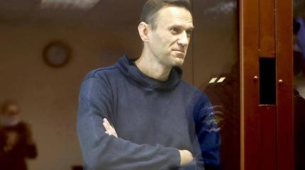 Страны Балтии бьются за Навального как родного Страны Балтии бьются за Навального как родного