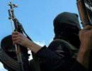 Ответ на «наркоджихад» Ответ на «наркоджихад»