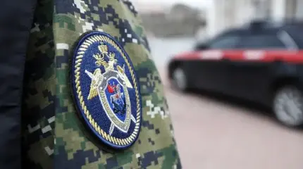 Проблема преступности мигрантов решается просто Проблема преступности мигрантов решается просто