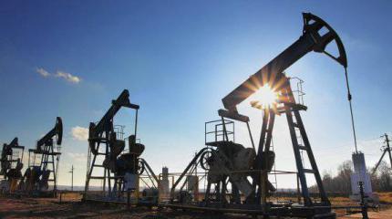 Падение цен на нефть не поставит страны-экспортеры на колени Падение цен на нефть не поставит страны-экспортеры на колени
