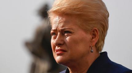 Грибаускайте – выскочка восточного фланга НАТО Грибаускайте – выскочка восточного фланга НАТО