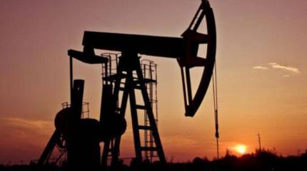 Аргентина арестовала на Фолклендах имущество пяти нефтекомпаний