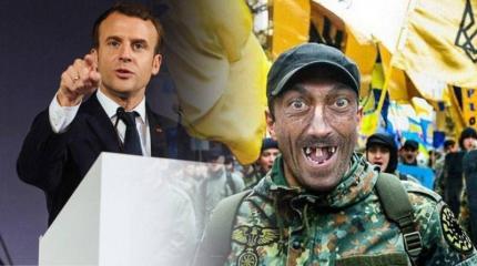 Макрон не хочет видеть украинские банды во Франции Макрон не хочет видеть украинские банды во Франции
