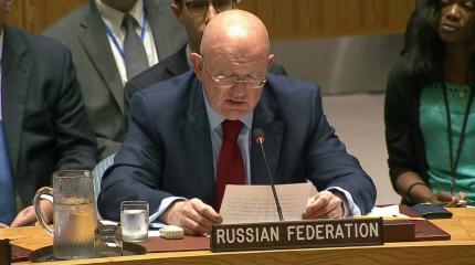 Соблюдайте приличие: Постпред РФ Небензя «успокоил» дипломата США Хейли