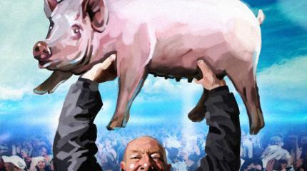 Политика Украины: дело свиней Политика Украины: дело свиней