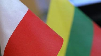 Литовское дежавю: Вильнюс хочет «перезагрузить» отношения с Польшей Литовское дежавю: Вильнюс хочет «перезагрузить» отношения с Польшей