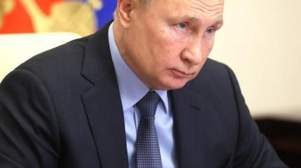Путин жестко ответил маститому режиссеру-либералу Путин жестко ответил маститому режиссеру-либералу