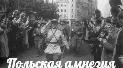 Польская амнезия — События дня. Взгляд патриота — 04.05.2015 Польская амнезия — События дня. Взгляд патриота — 04.05.2015