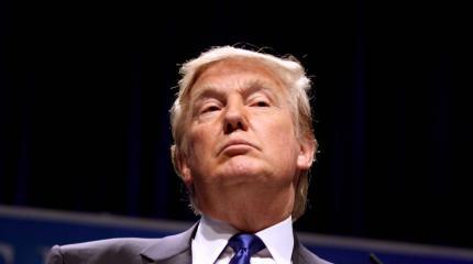 Трамп прикрывает украинскую кормушку и готовится «слить» проект «Украина» Трамп прикрывает украинскую кормушку и готовится «слить» проект «Украина»