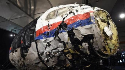 Катастрофа MH-17: Нидерланды получили от Грузии ракету «Бук»