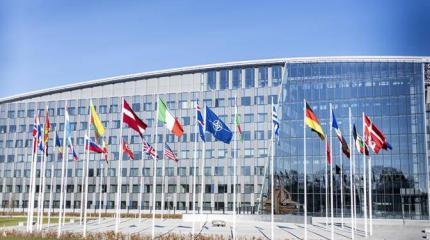 Аутсайдеры НАТО готовы «лечь костьми» за Украину. На бумаге Аутсайдеры НАТО готовы «лечь костьми» за Украину. На бумаге