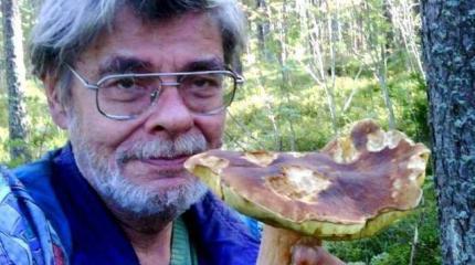 Бывший таллинец рассказал о побеге семьи из Эстонии в Россию