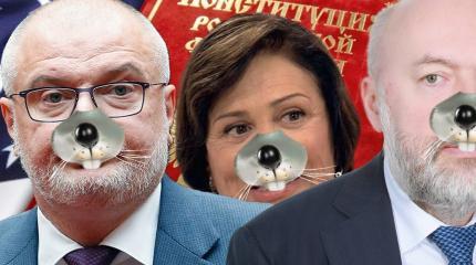 Править конституцию РФ будут "спящие" во власти Править конституцию РФ будут "спящие" во власти