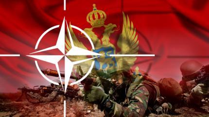 Дипломатия по-американски: Вооружить Черногорию, унизить Сербию Дипломатия по-американски: Вооружить Черногорию, унизить Сербию
