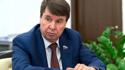 Цеков об ответе Киеву за арестованное судно РФ: Украине никуда не деться Цеков об ответе Киеву за арестованное судно РФ: Украине никуда не деться