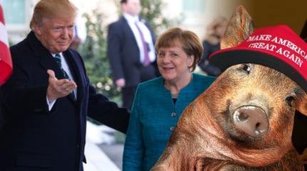 США ставят Германию перед выбором — подчиниться или восстать США ставят Германию перед выбором — подчиниться или восстать