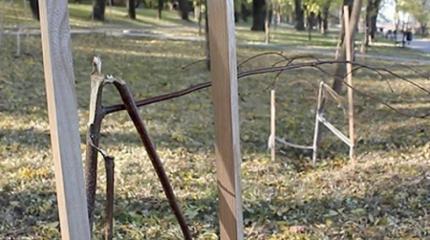 В Украине крушат памятники, посвященные героям Небесной сотни В Украине крушат памятники, посвященные героям Небесной сотни