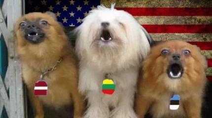 Яблоко раздора: Как прибалты намеренно провоцируют конфликт между РФ и США