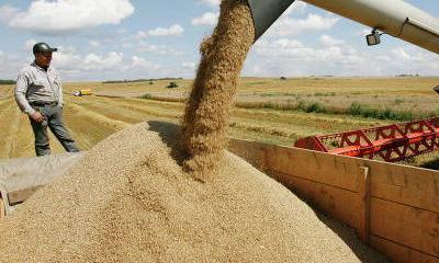 Урожай зерновых в России будет третьим по величине в постсоветской истории