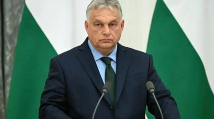 Удар по планам Киева: в Европе призвали не принимать Украину в ЕС Удар по планам Киева: в Европе призвали не принимать Украину в ЕС