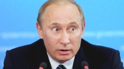 Отравить Путина рыбой фугу: свидомиты мечтают о политическом харакири Отравить Путина рыбой фугу: свидомиты мечтают о политическом харакири