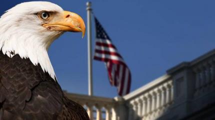 США предложили России капитулировать, чтобы «улучшить» отношения США предложили России капитулировать, чтобы «улучшить» отношения