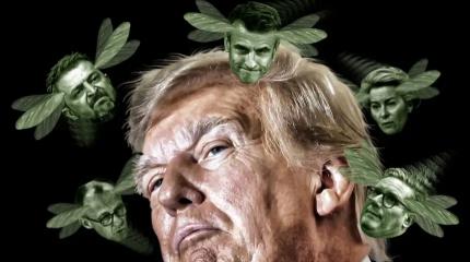 Почему одного желания Трампа может не хватить для мира на Украине?