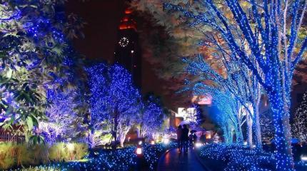 Фейерверка не будет! Европа боится терактов в новогоднюю ночь