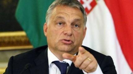 Венгрия затолкает свой флаг Украине в глотку Венгрия затолкает свой флаг Украине в глотку