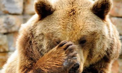 Обыкновенный цинизм: все опять хотят дружить с Россией