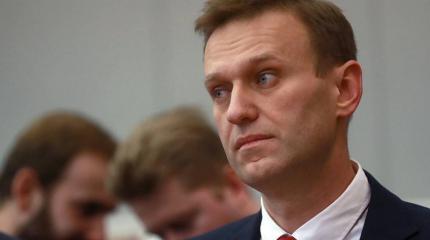 Германия рассказала, почему дело по Навальному до сих пор не возбуждено