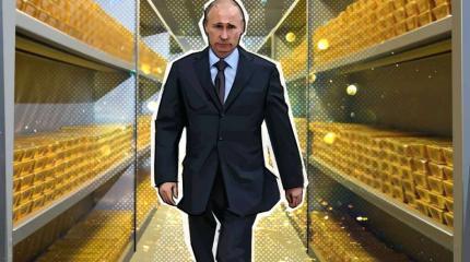 Sina: Путин не боится провести две важные встречи на саммите G20 Sina: Путин не боится провести две важные встречи на саммите G20