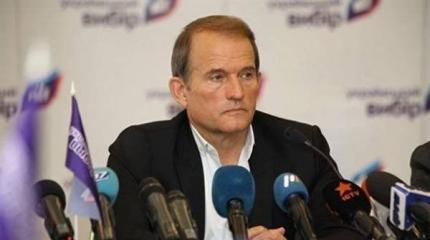 Медведчук: Весь мир смотрит на Украину как на сумасшедшего Медведчук: Весь мир смотрит на Украину как на сумасшедшего
