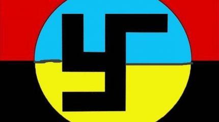 Украина Майдана: Как нажить врагов со всех сторон Украина Майдана: Как нажить врагов со всех сторон