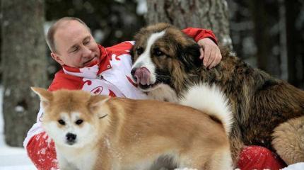 Доверие россиян к Путину за год упало Доверие россиян к Путину за год упало
