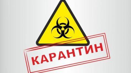 Смертельная итальянская статистика — почему коронавирус не «обычный грипп» Смертельная итальянская статистика — почему коронавирус не «обычный грипп»