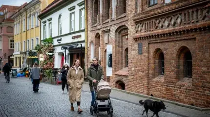 Прибалтийские сестрицы махнули в Ирландию, оставив дом на «лесных братьев»