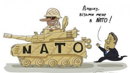 Имидж — все: ради собственной репутации НАТО откажет Украине Имидж — все: ради собственной репутации НАТО откажет Украине