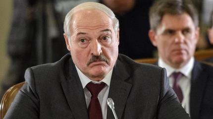 Литва восемь лет вынашивала планы замены Лукашенко Литва восемь лет вынашивала планы замены Лукашенко