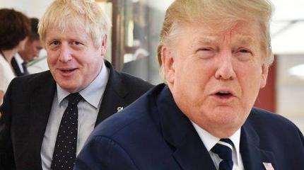Трамп и Джонсон презирают достижения ЕС Трамп и Джонсон презирают достижения ЕС