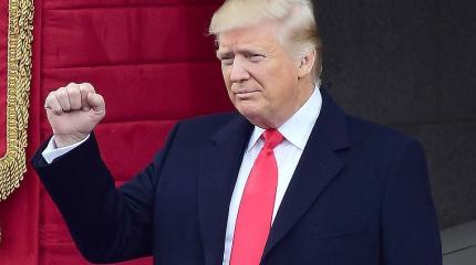 Трамп больше не альфа-самец Трамп больше не альфа-самец