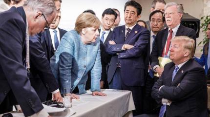 Bild: Меркель в Давосе пошла против Трампа Bild: Меркель в Давосе пошла против Трампа
