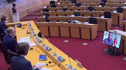 Либералы жаловались пустому залу Европарламента на Путина и просили санкции Либералы жаловались пустому залу Европарламента на Путина и просили санкции