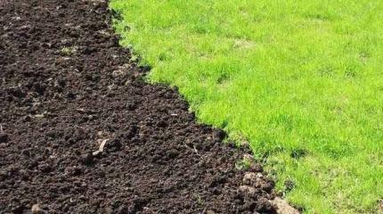 Почему Швеция и Россия борются за украинский чернозём