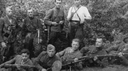 Пополнение националистического паноптикума Украины Пополнение националистического паноптикума Украины